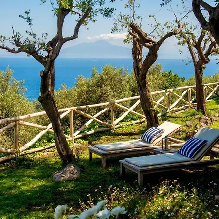 Villa Sul Mare A Capri - Panorama Mozzafiato *